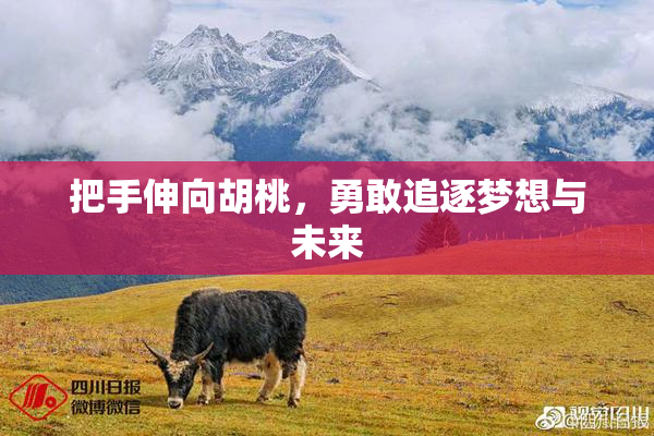 把手伸向胡桃，勇敢追逐梦想与未来