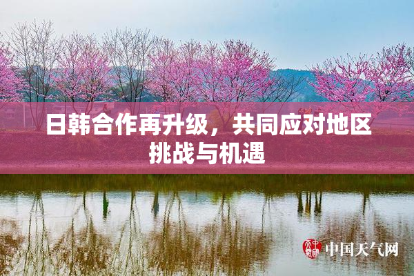 日韩合作再升级，共同应对地区挑战与机遇