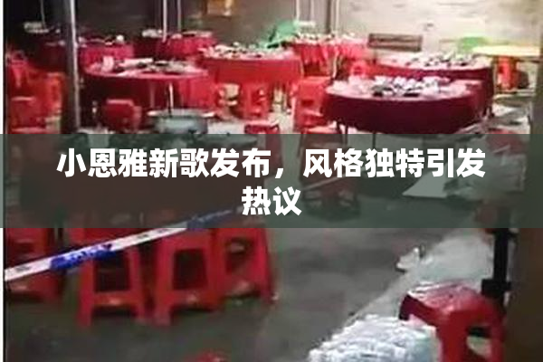 小恩雅新歌发布，风格独特引发热议