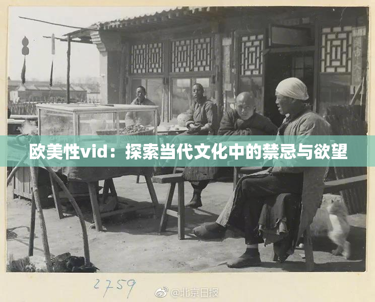 欧美性vid：探索当代文化中的禁忌与欲望