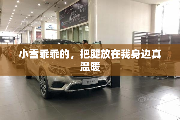 小雪乖乖的，把腿放在我身边真温暖