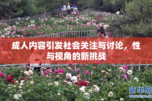 成人内容引发社会关注与讨论，性与视角的新挑战