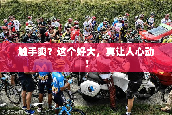 触手爽？这个好大，真让人心动！