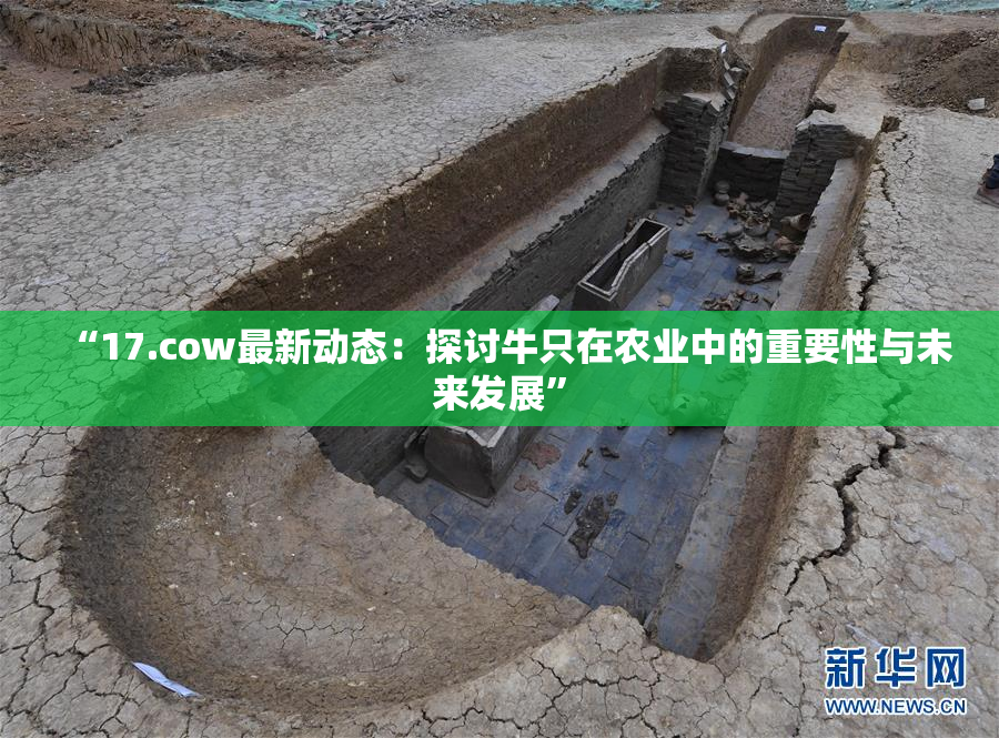 “17.cow最新动态：探讨牛只在农业中的重要性与未来发展”