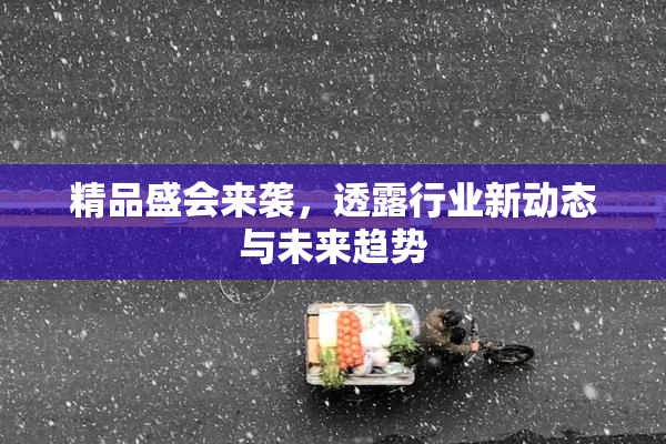 精品盛会来袭，透露行业新动态与未来趋势