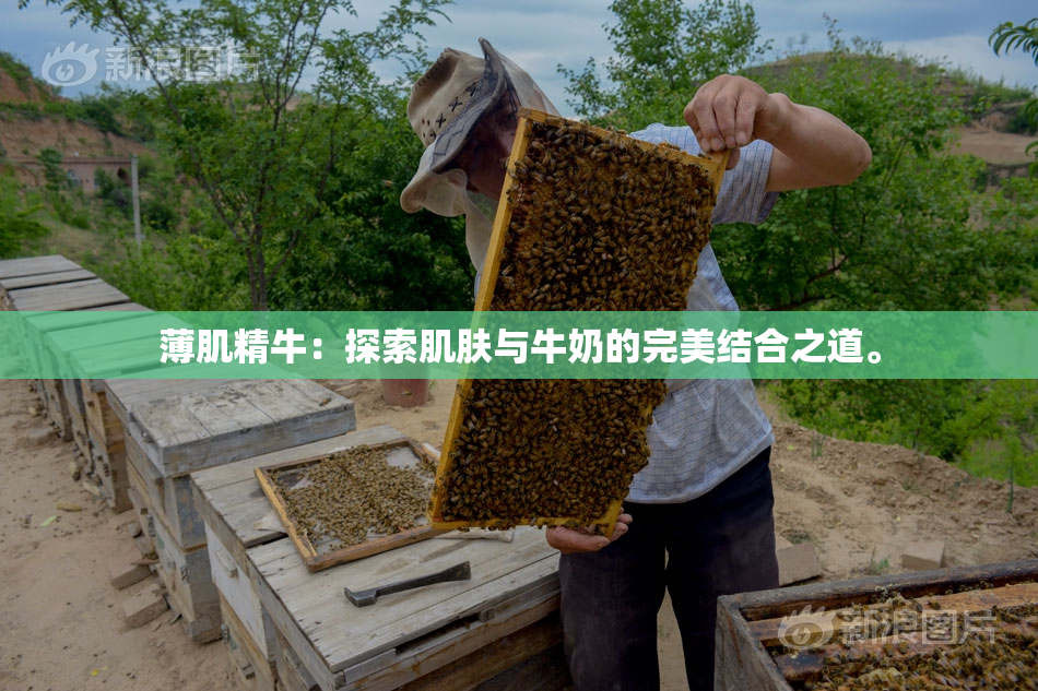 薄肌精牛：探索肌肤与牛奶的完美结合之道。