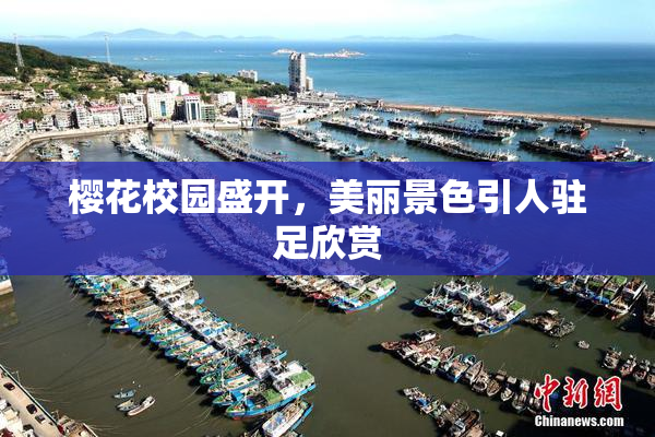 樱花校园盛开，美丽景色引人驻足欣赏