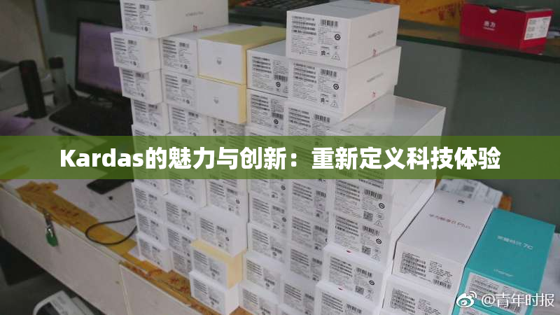 Kardas的魅力与创新：重新定义科技体验