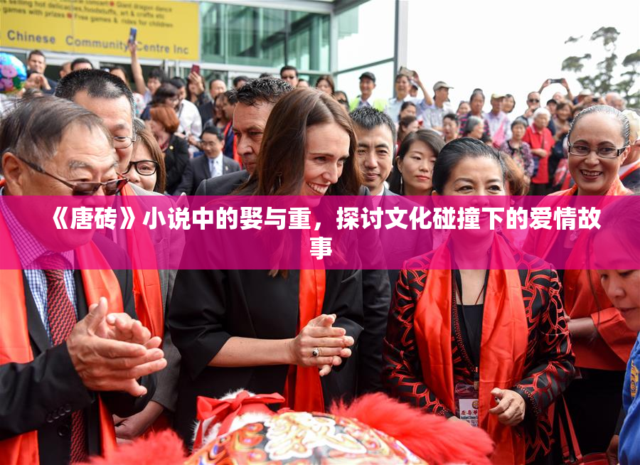 《唐砖》小说中的娶与重，探讨文化碰撞下的爱情故事