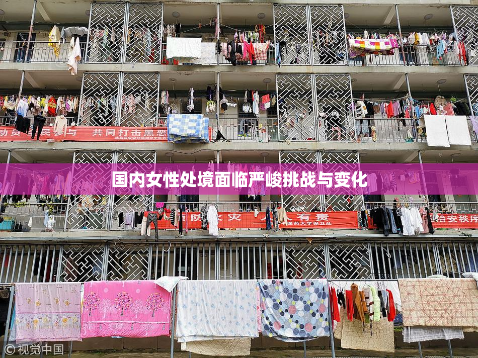 国内女性处境面临严峻挑战与变化