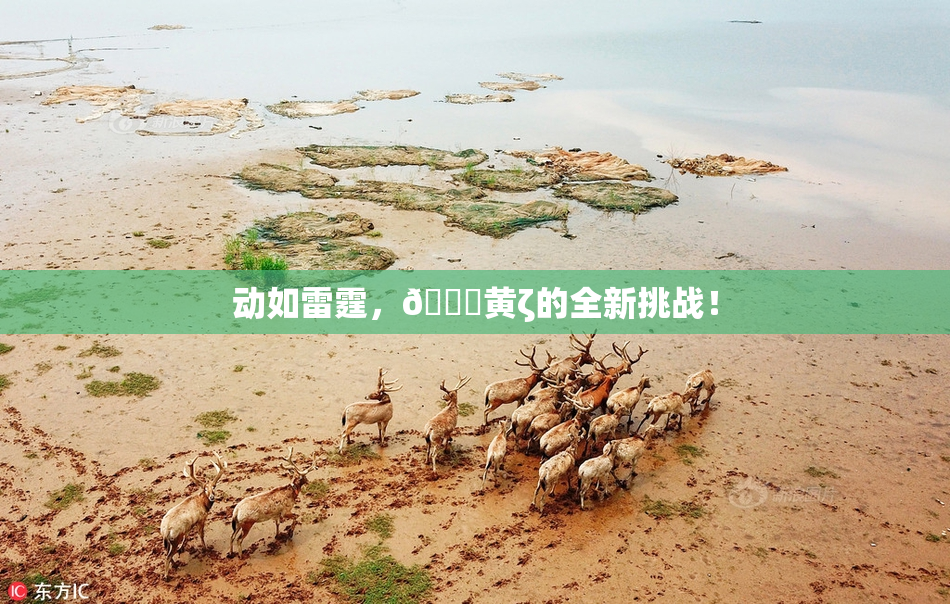 动如雷霆，🔞黄ζ的全新挑战！