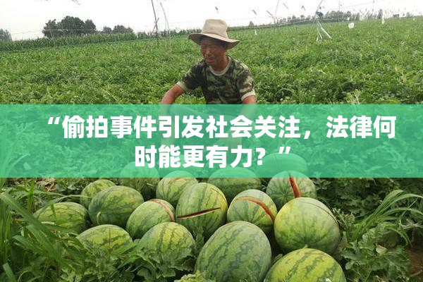 “偷拍事件引发社会关注，法律何时能更有力？”