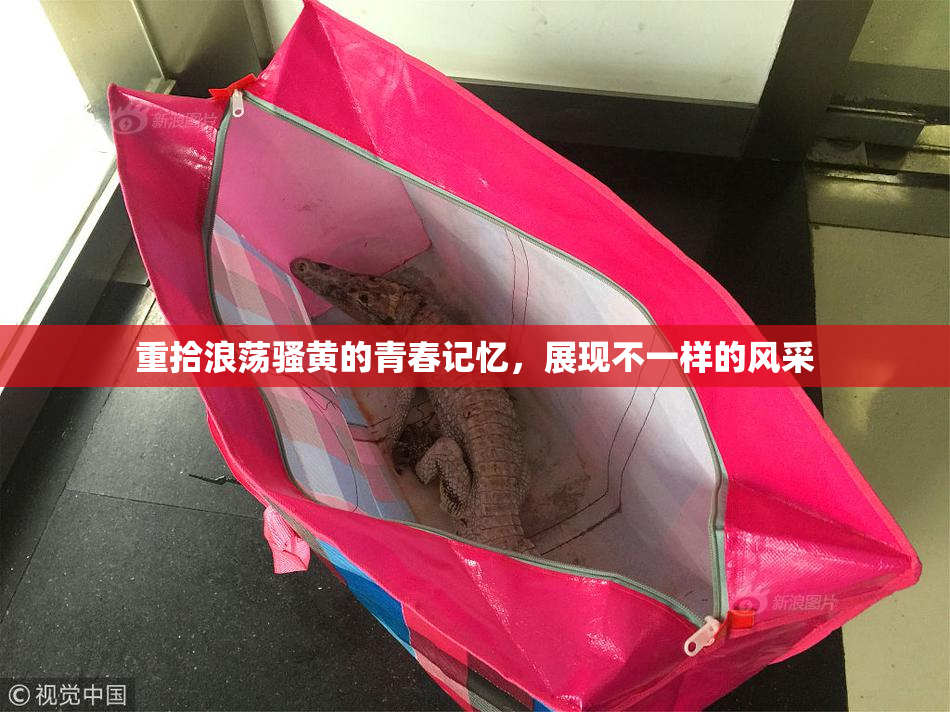 重拾浪荡骚黄的青春记忆，展现不一样的风采