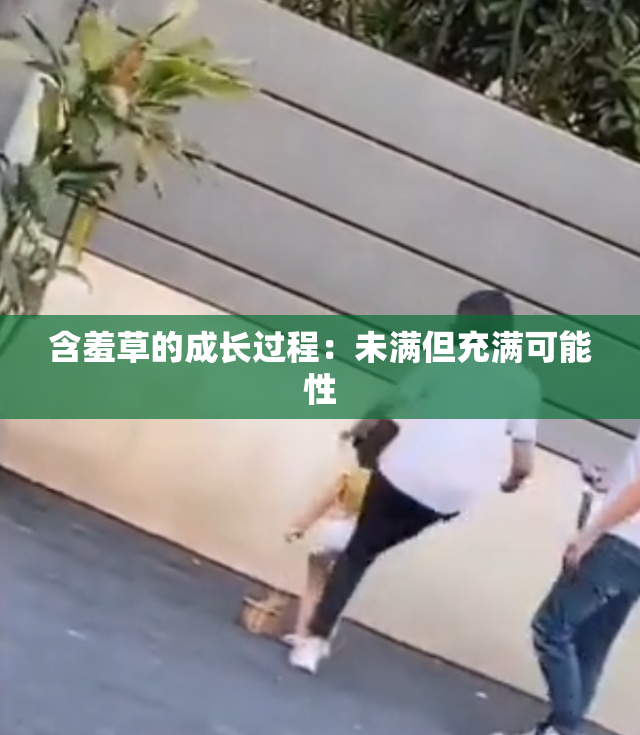 含羞草的成长过程：未满但充满可能性