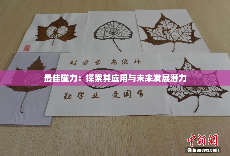 最佳磁力：探索其应用与未来发展潜力
