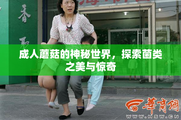 成人蘑菇的神秘世界，探索菌类之美与惊奇