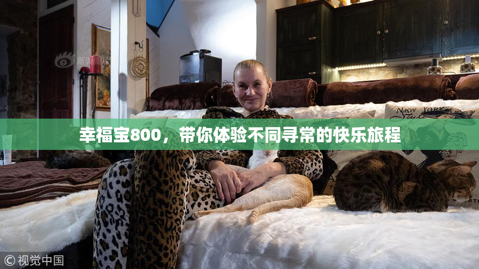 幸福宝800，带你体验不同寻常的快乐旅程