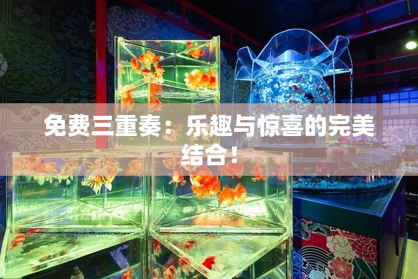 免费三重奏：乐趣与惊喜的完美结合！