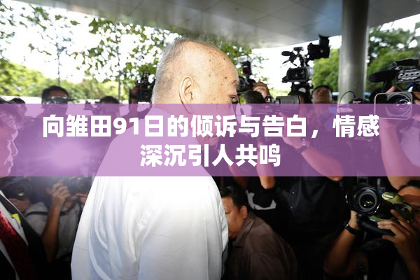 向雏田91日的倾诉与告白，情感深沉引人共鸣