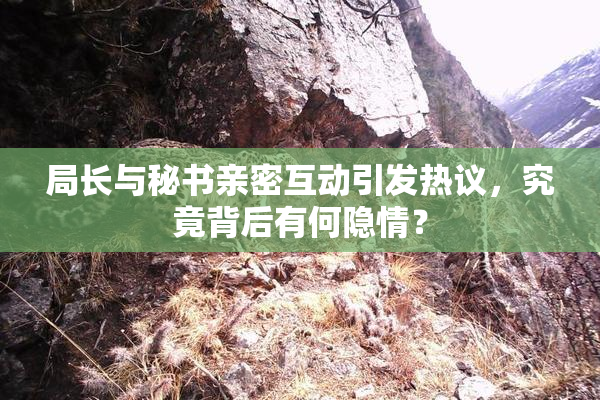 局长与秘书亲密互动引发热议，究竟背后有何隐情？