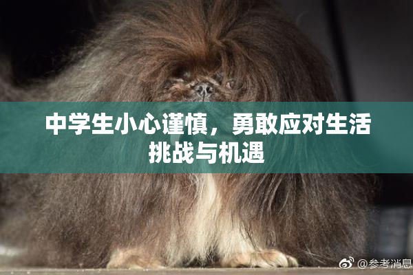 中学生小心谨慎，勇敢应对生活挑战与机遇