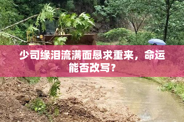 少司缘泪流满面恳求重来，命运能否改写？