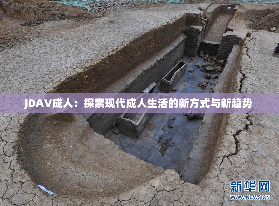 JDAV成人：探索现代成人生活的新方式与新趋势