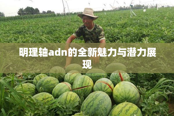 明理轴adn的全新魅力与潜力展现