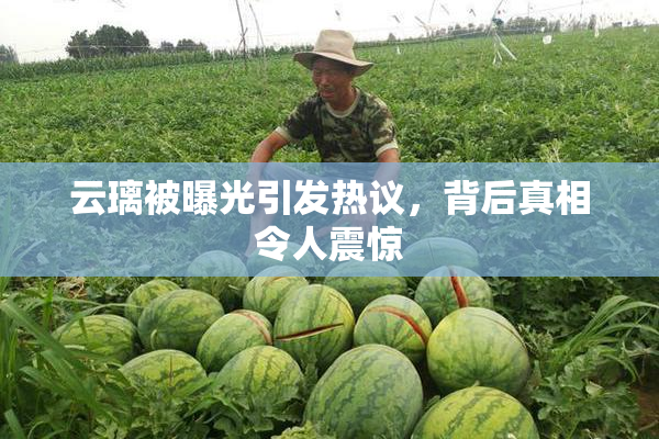 云璃被曝光引发热议，背后真相令人震惊