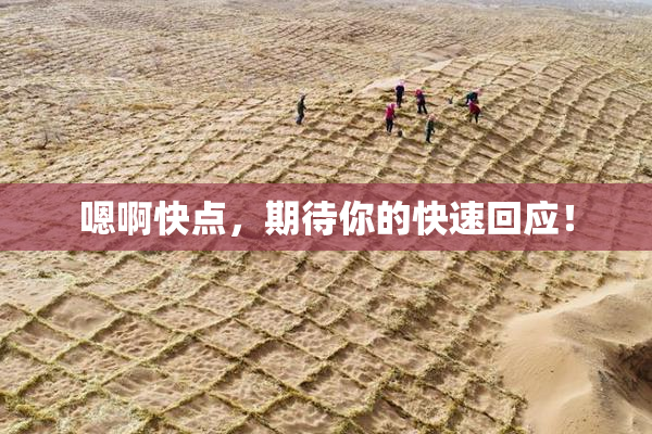 嗯啊快点，期待你的快速回应！