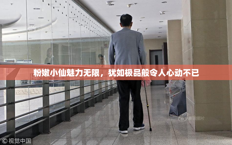 粉嫩小仙魅力无限，犹如极品般令人心动不已