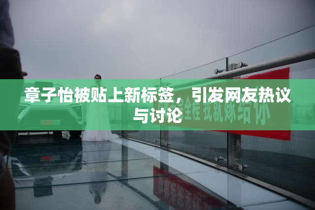 章子怡被贴上新标签，引发网友热议与讨论