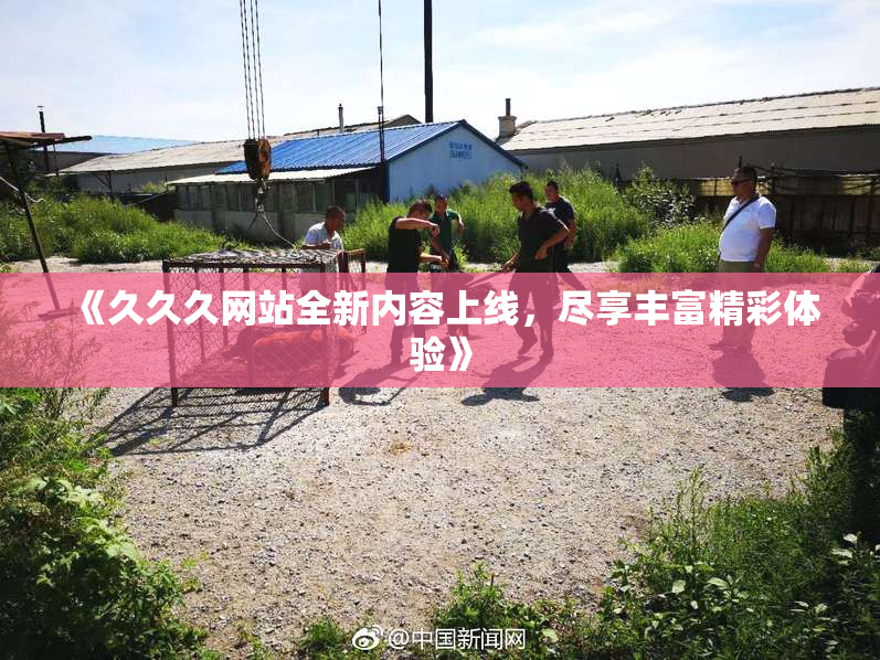 《久久久网站全新内容上线，尽享丰富精彩体验》