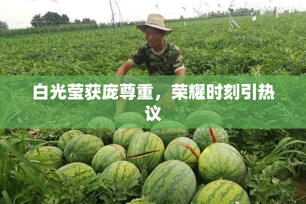 白光莹获庞尊重，荣耀时刻引热议