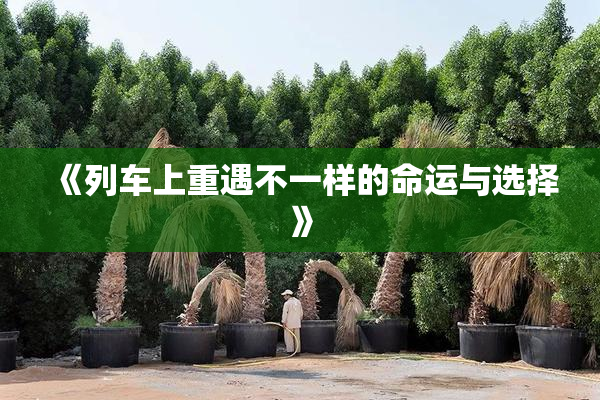 《列车上重遇不一样的命运与选择》