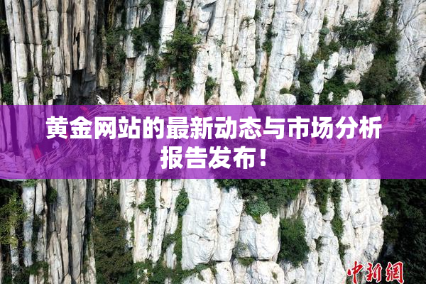 黄金网站的最新动态与市场分析报告发布！