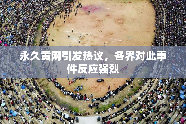 永久黄网引发热议，各界对此事件反应强烈