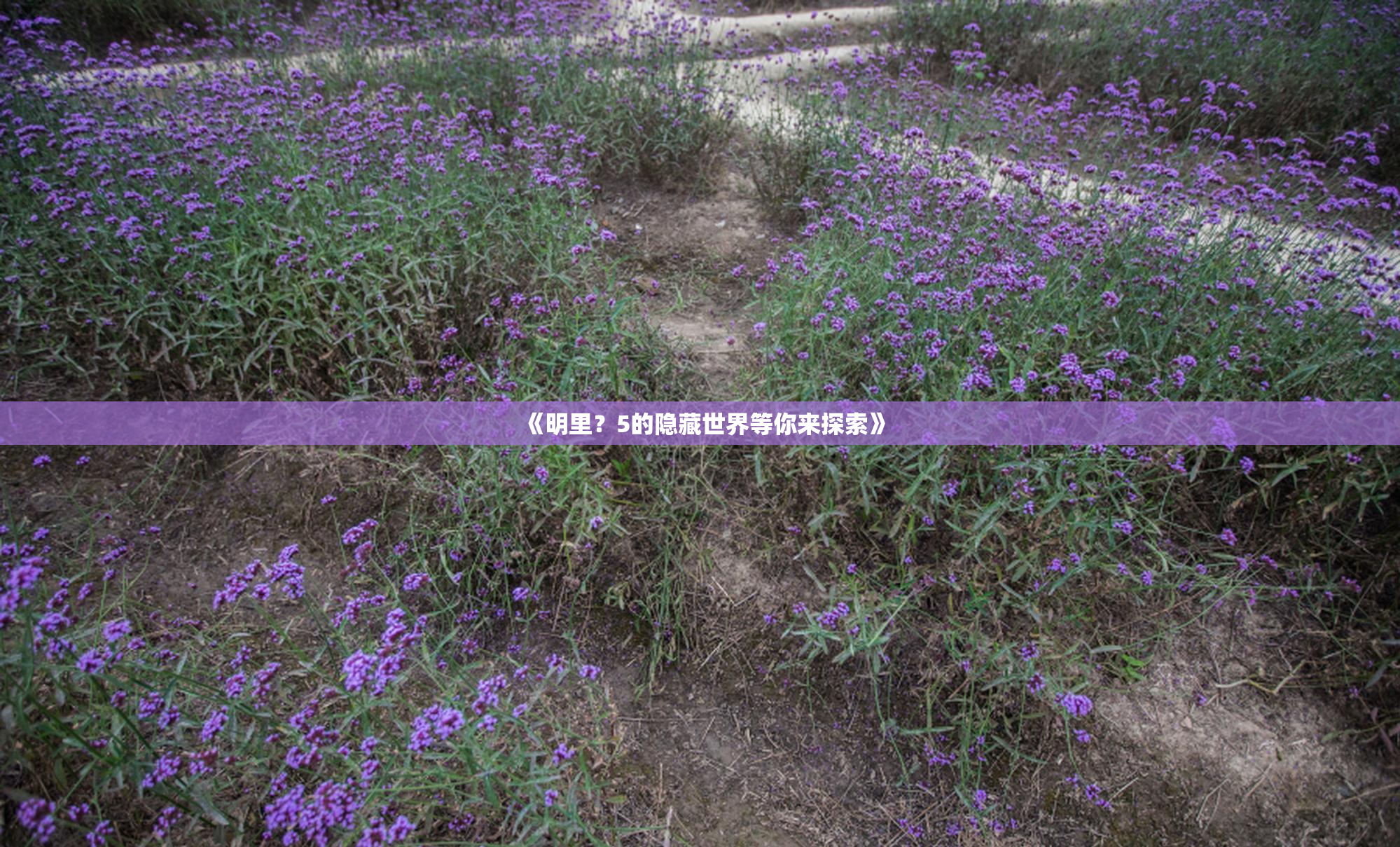 《明里？5的隐藏世界等你来探索》