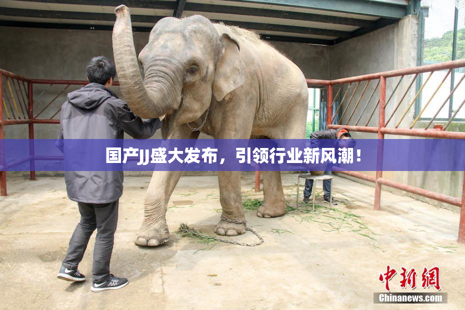 国产JJ盛大发布，引领行业新风潮！