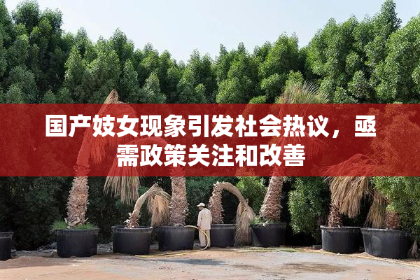 国产妓女现象引发社会热议，亟需政策关注和改善