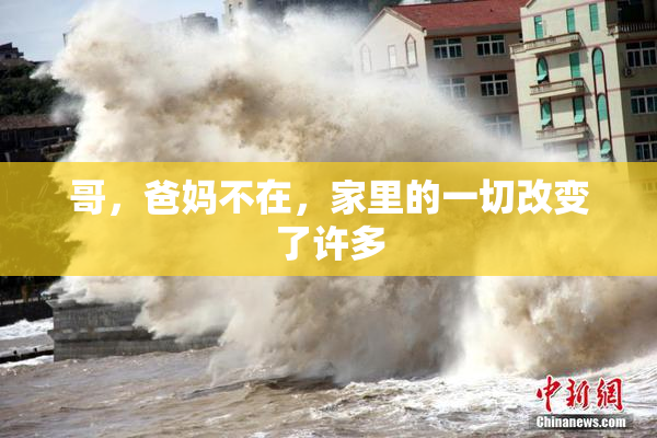 哥，爸妈不在，家里的一切改变了许多