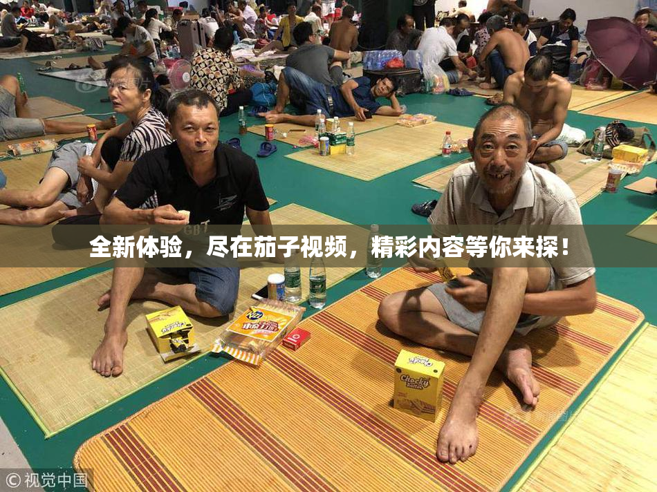 全新体验，尽在茄子视频，精彩内容等你来探！