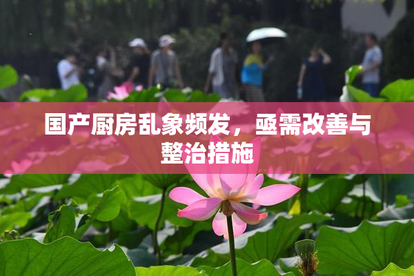 国产厨房乱象频发，亟需改善与整治措施