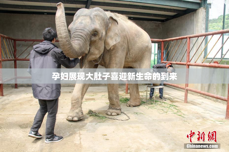 孕妇展现大肚子喜迎新生命的到来