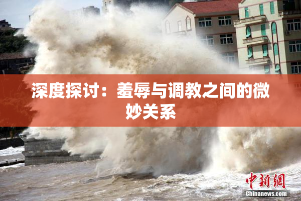 深度探讨：羞辱与调教之间的微妙关系
