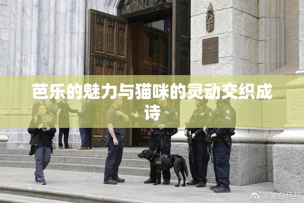 芭乐的魅力与猫咪的灵动交织成诗
