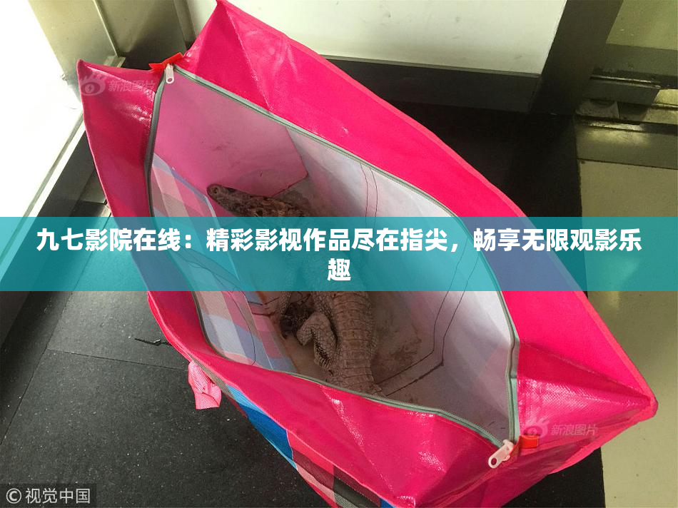 九七影院在线：精彩影视作品尽在指尖，畅享无限观影乐趣