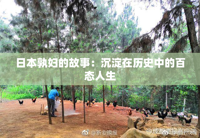 日本孰妇的故事：沉淀在历史中的百态人生
