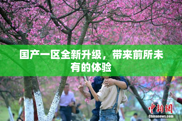 国产一区全新升级，带来前所未有的体验
