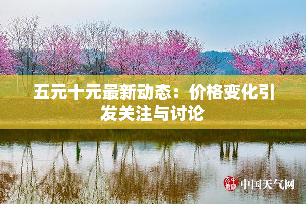 五元十元最新动态：价格变化引发关注与讨论